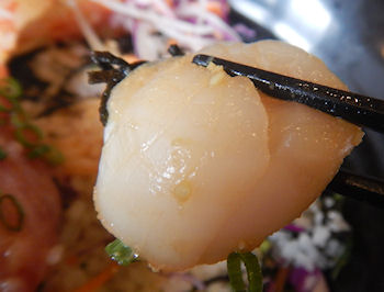 �K�X�g �C�N��