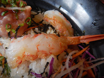 �K�X�g �C�N��