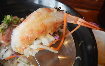 �K�X�g �C�N��