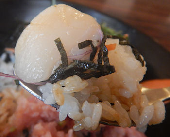 �K�X�g�@�C�N���͂�