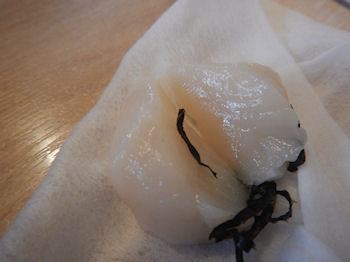 �K�X�g ���ق��ĊL���Ƃ˂��Ƃ�T�[�����̊C�̍K���͂�