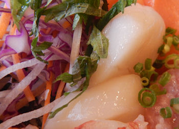 �K�X�g �C�N��