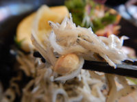 �K�X�g �C�̍K���