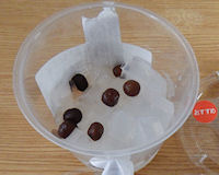 �K�X�g ����݂�