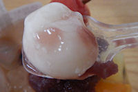 �K�X�g ����݂�