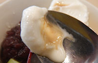 �K�X�g ����݂�