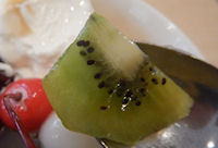 �K�X�g ����݂�