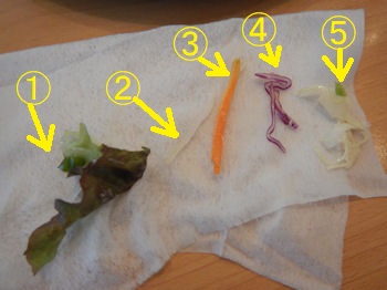 �K�X�g �`�L�����