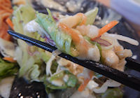 �K�X�g �`�L�����