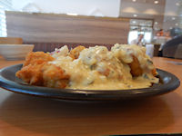 �K�X�g �`�L�����