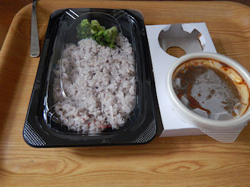 �K�X�g 2�퓤�̉������J���[