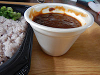 �K�X�g 2�퓤�̉������J���[