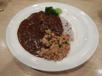 �K�X�g 2�퓤�̉������J���[