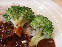 �K�X�g 2�퓤�̉������J���[