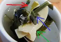 �K�X�g �a�����؃X�[�v