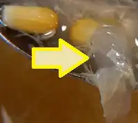 �K�X�g�@���ւ��X�[�v