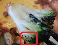 �K�X�g �X�e�[�L�n���o�[�O