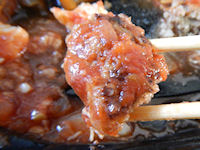 �K�X�g �J�|�i�[�^���n���o�[�O