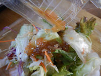 �K�X�g �J�|�i�[�^���n���o�[�O