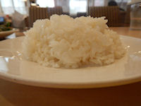 �K�X�g �J�|�i�[�^���n���o�[�O