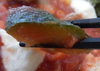 �K�X�g �J�|�i�[�^���n���o�[�O