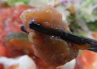 �K�X�g �J�|�i�[�^���n���o�[�O