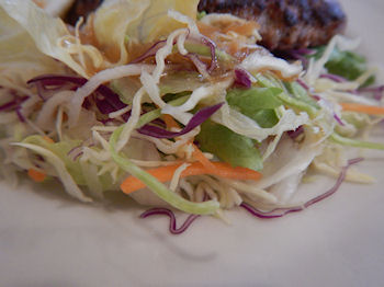 �K�X�g �n���o�[�O���[�j���O