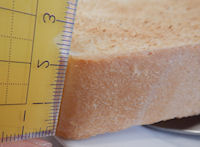 �K�X�g �n���o�[�O���[�j���O