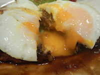 �K�X�g �n���o�[�O���[�j���O