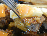 �K�X�g �n���o�[�O