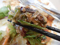 �K�X�g �`�[�YIN�n���o�[�O���C�V�t���C