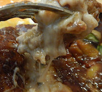 �K�X�g �����n���o�[�O