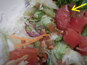 �K�X�g �����n���o�[�O