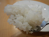 �K�X�g �����n���o�[�O