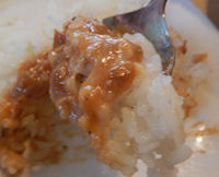 �K�X�g �����n���o�[�O