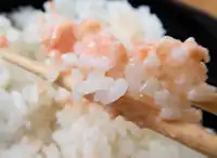 �K�X�g ���������Ă�}���v���~�A���n���o�[�O