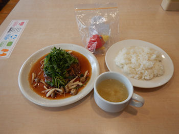 �K�X�g �a���n���o�[�O