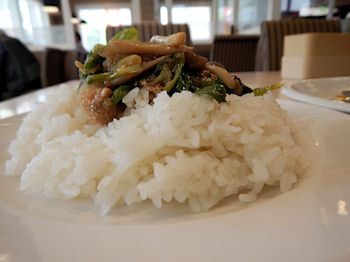 �K�X�g �a���n���o�[�O