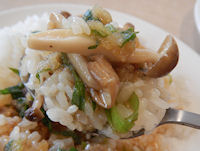 �K�X�g �a���n���o�[�O