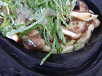 �K�X�g �a���n���o�[�O