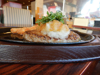 �K�X�g �a���n���o�[�O