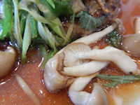 �K�X�g �a���n���o�[�O