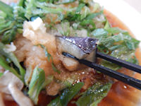 �K�X�g �a���n���o�[�O