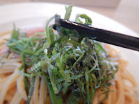 �K�X�g �a���X�p�Q�e�B