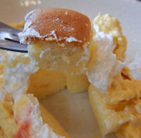 �K�X�g ��p�J�X�e���̃}���S�[�����u����