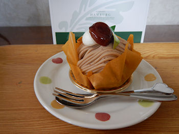 �K�X�g ��p�J�X�e���̃}���S�[�����u����