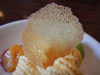 �K�X�g ��p�J�X�e���̃}���S�[�����u����