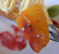 �K�X�g ��p�J�X�e���̃}���S�[�����u����