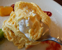 �K�X�g ��p�J�X�e���̃}���S�[�����u����