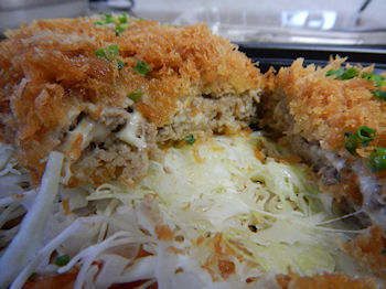 �K�X�g �����`�J�c